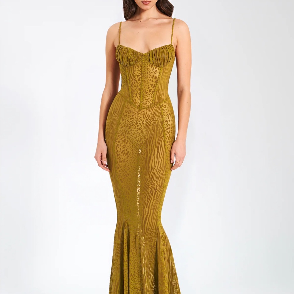 Ulani Gold Burnout Velvet Detail Mesh Maxi Dress